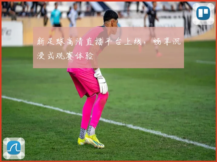 新足球高清直播平台上线，畅享沉浸式观赛体验